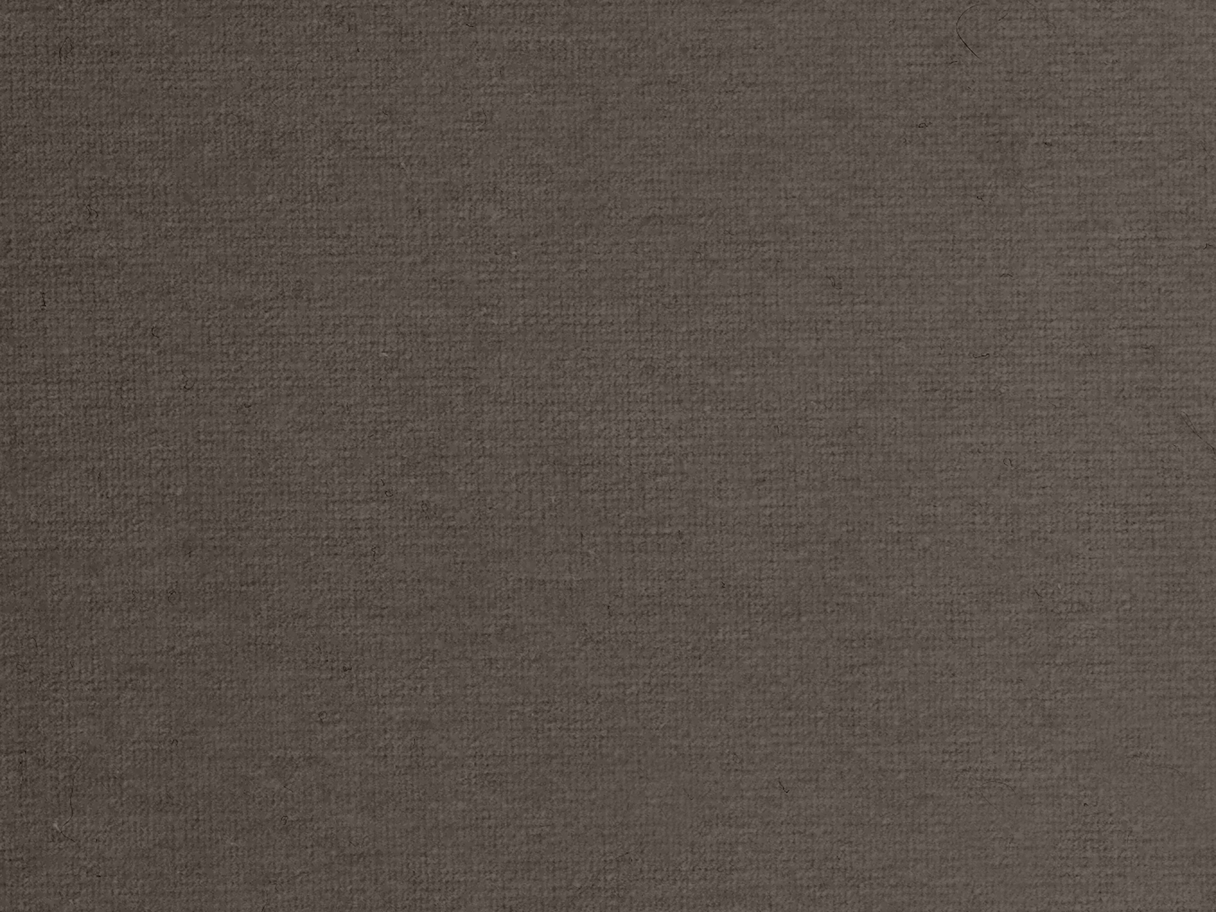 zoom colori RIVE GAUCHE taupe, gris